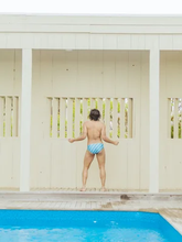 Load image into Gallery viewer, CTS BLUE STRIPE SWIM BRIEF