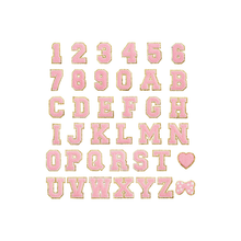 Load image into Gallery viewer, Ballet Pink Letter &amp; Number Patches | Set
