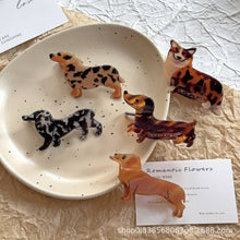 Load image into Gallery viewer, JUMBO DOG HAIR CLAW CLIPS | 40H1026

