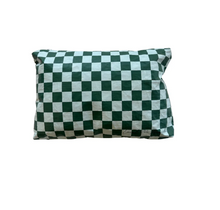 Load image into Gallery viewer, Local Beach Blue/Green Checker Water Resistant Pouch
